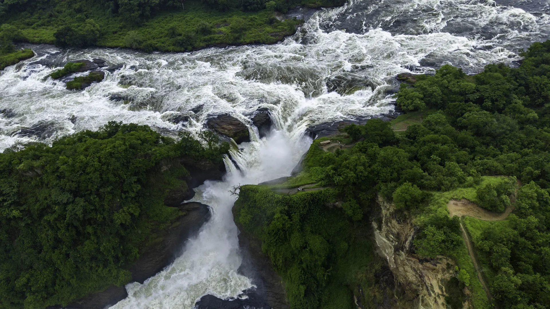 The Pulse of the Nile: Where Raw Power Meets Soul-Restoring Peace in Murchison Falls