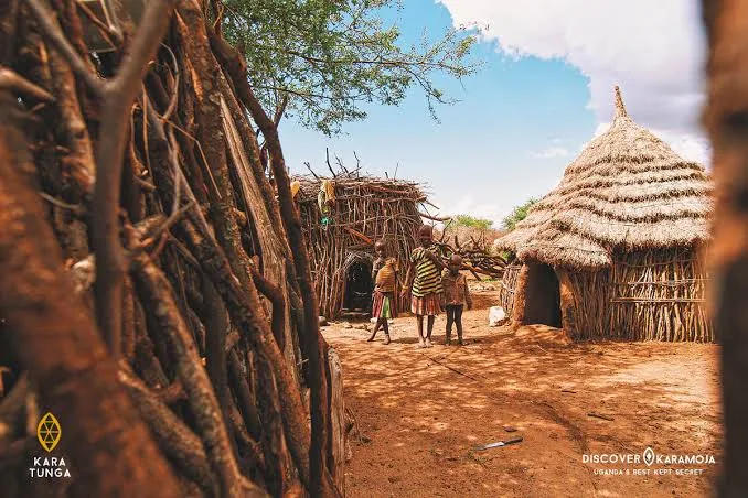 Architecture of Belonging: Indigenous Building Traditions & Sustainable African Spaces in Karamoja