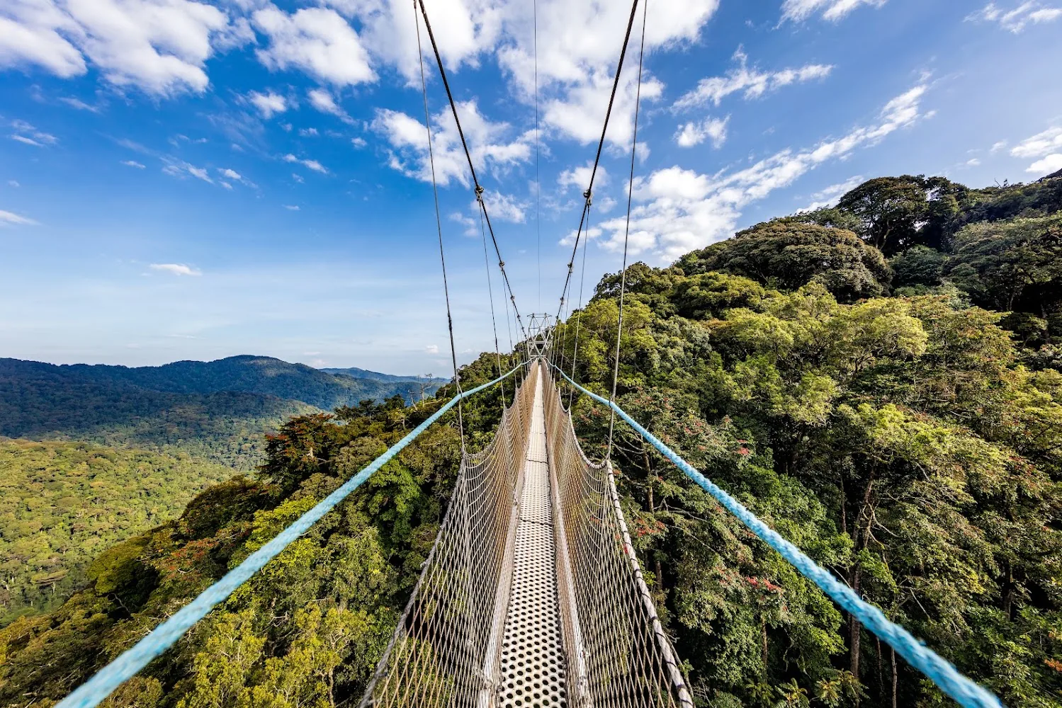 8 Days Best of Rwanda Tour | Haven Africa Journeys