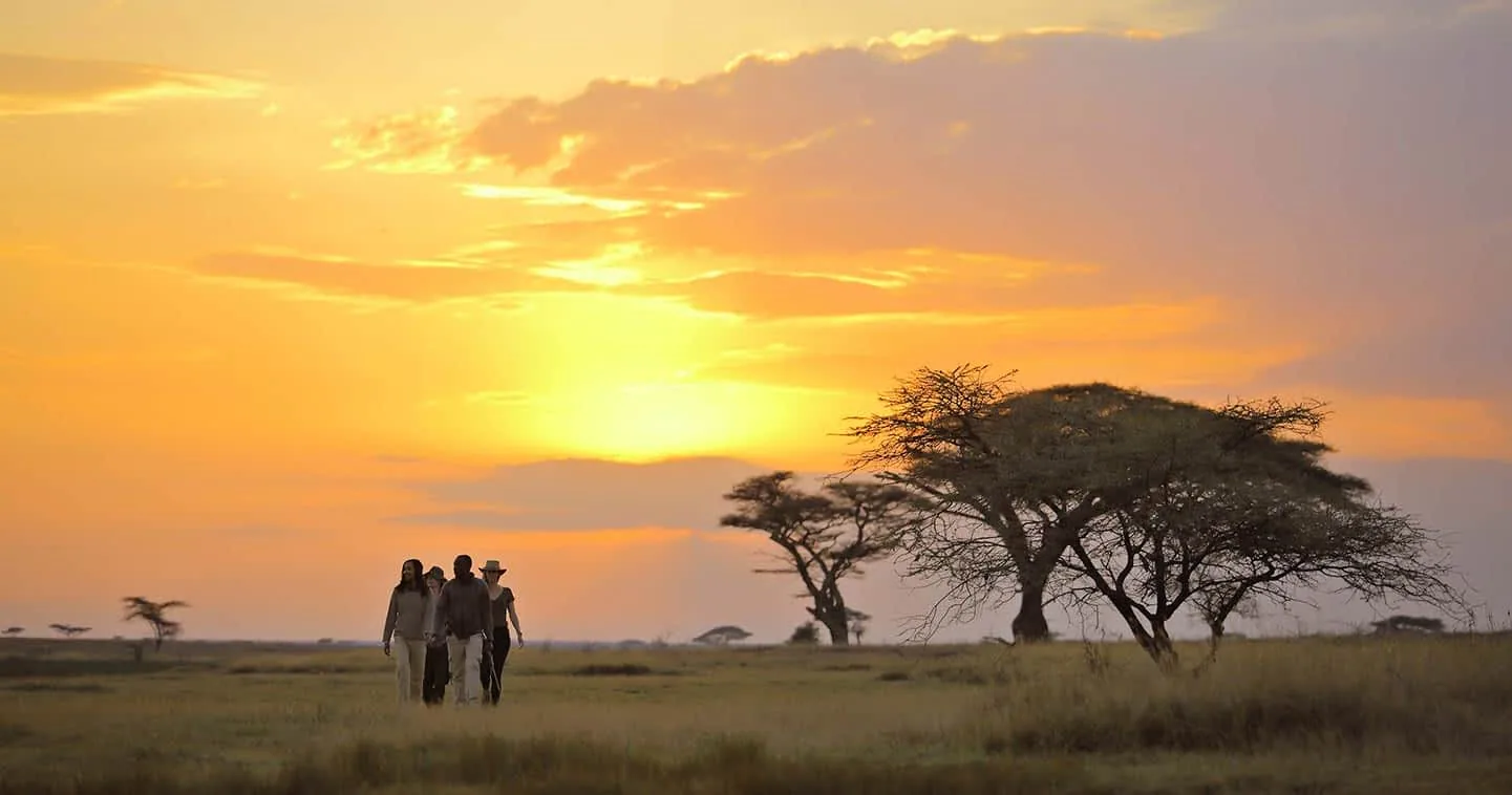 12-Day Tanzania Honeymoon Safari & Zanzibar Escape | Haven Africa Journeys